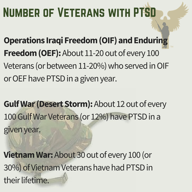 Post Traumatic Stress Disorder Post Vietnam War