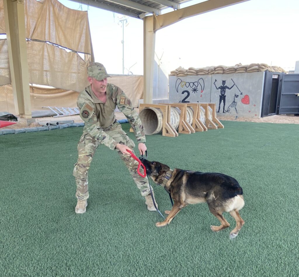 About Us - Camo Cross Dog Training