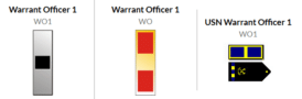 Officer Insignias 101 - Soldiers' Angels